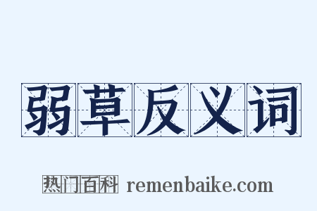 弱草反义词是什么意思的图片